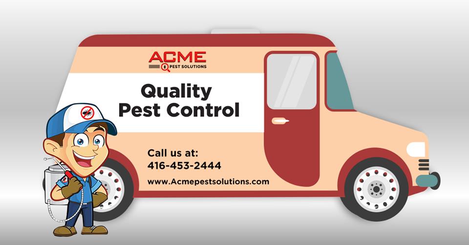 Pest Control Oakville - Acme Pest Solutions